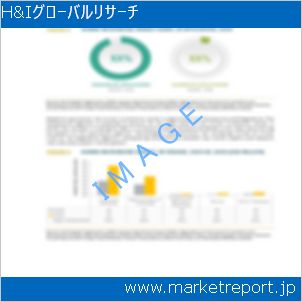 市場と産業調査レポートのイメージ